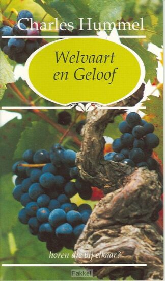 product afbeelding voor: Gideonietje welvaart en geloof