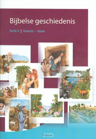 product afbeelding voor: Bijbelse geschiedenis boek 0