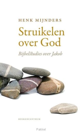 product afbeelding voor: Struikelen over God