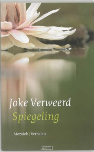 product afbeelding voor: Spiegeling