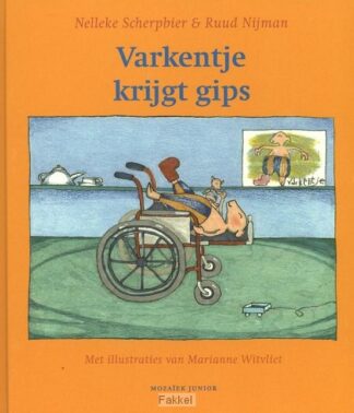 product afbeelding voor: Varkentje krijgt gips