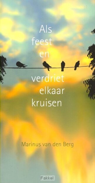 product afbeelding voor: Als feest en verdriet elkaar raken