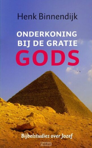 product afbeelding voor: Onderkoning bij de gratie Gods
