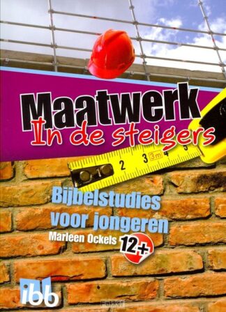 product afbeelding voor: Maatwerk in de steigers 12 +