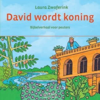 product afbeelding voor: David wordt koning
