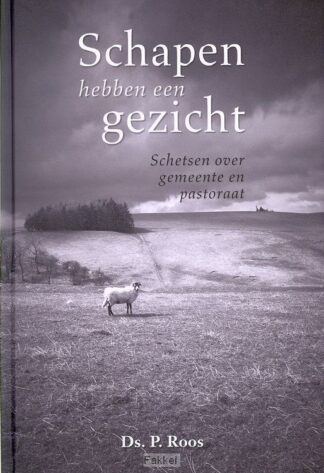 product afbeelding voor: Schapen hebben een gezicht