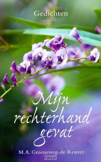 product afbeelding voor: Mijn rechterhand gevat