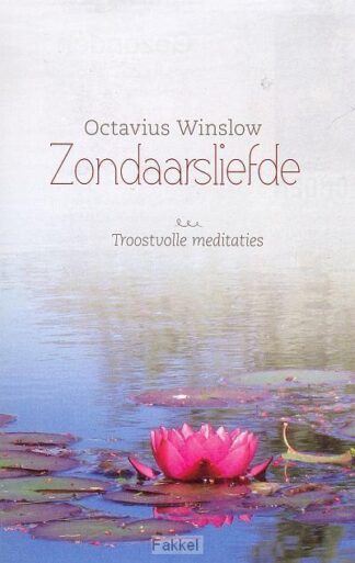 product afbeelding voor: Zondaarsliefde