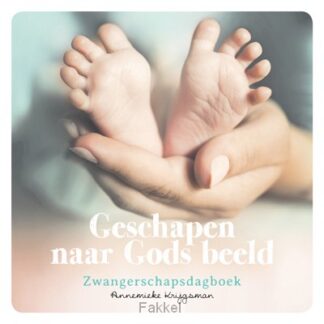 product afbeelding voor: Geschapen naar Gods beeld