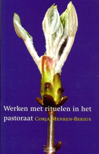 product afbeelding voor: Werken met rituelen in het pastoraat