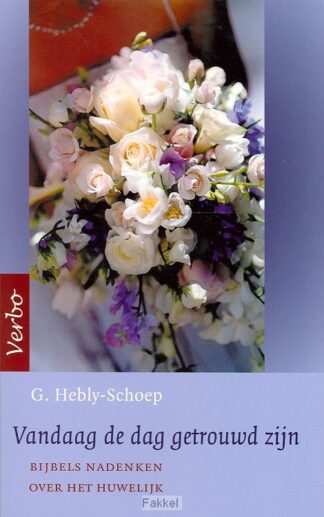 product afbeelding voor: Vandaag de dag getrouwd zijn