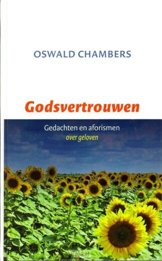 product afbeelding voor: Godsvertrouwen