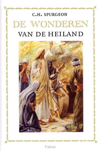 product afbeelding voor: Set gelijkenissen + wonderen van de heil