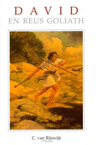 product afbeelding voor: David en reus goliath