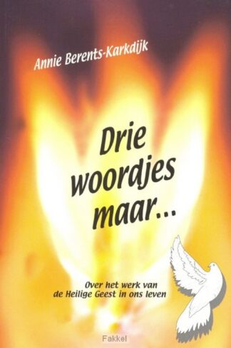 product afbeelding voor: Drie woordjes maar