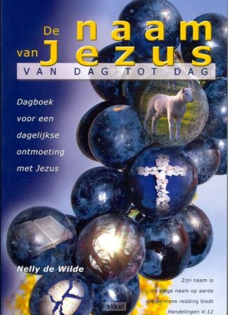 product afbeelding voor: Naam van jezus van dag tot dag