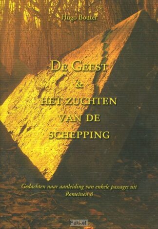 product afbeelding voor: Geest en het zuchten van de schepping