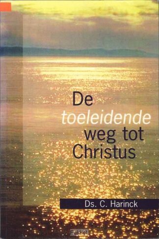product afbeelding voor: Toeleidende weg tot christus