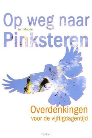 product afbeelding voor: Op weg naar pinksteren