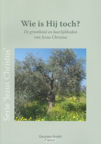 product afbeelding voor: Wie is Hij toch?