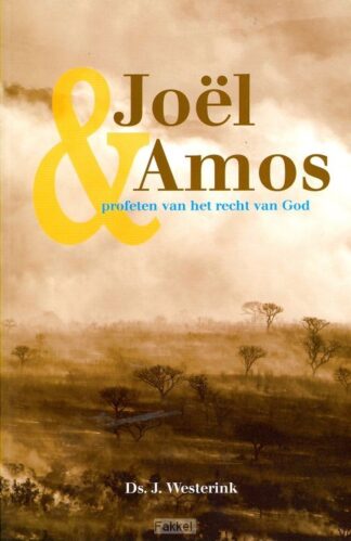 product afbeelding voor: Joel en Amos
