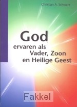 product afbeelding voor: God ervaren als vader zoon heilige geest