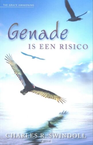 product afbeelding voor: Genade is een risico