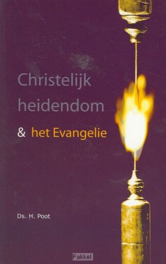 product afbeelding voor: Christelijk heidendom en het evangelie