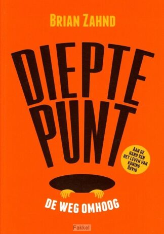 product afbeelding voor: Dieptepunt