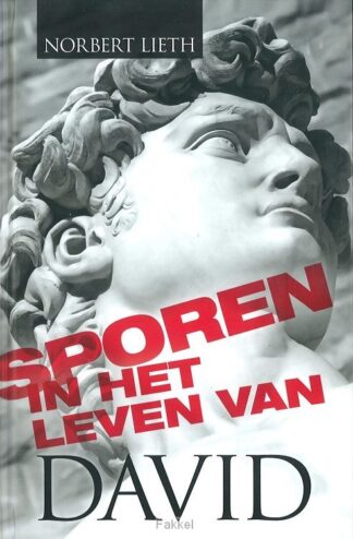 product afbeelding voor: Sporen in het leven van david