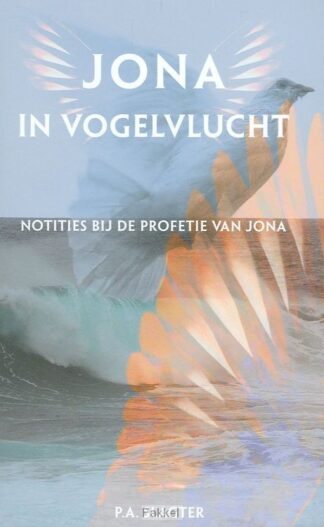 product afbeelding voor: Jona in vogelvlucht