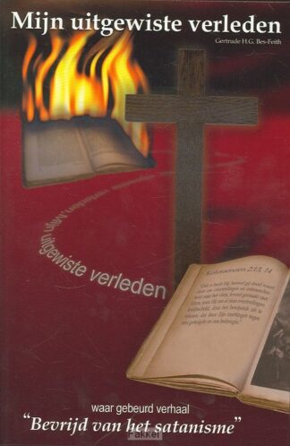 product afbeelding voor: Mijn uitgewiste verleden