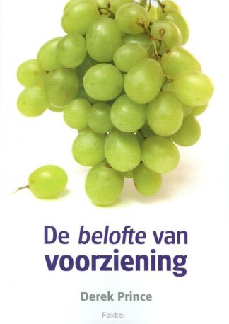 product afbeelding voor: Belofte van voorziening