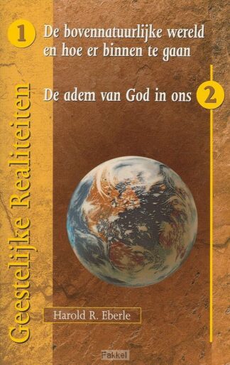 product afbeelding voor: Geestelijke realiteiten 2 dln in 1 band