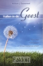 product afbeelding voor: Vallen in de Geest