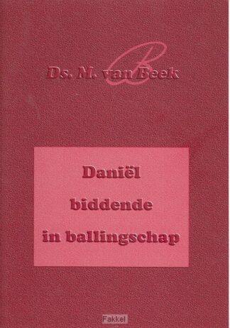 product afbeelding voor: Daniel biddende in ballingschap