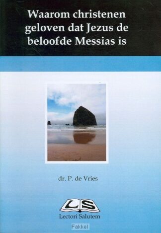 product afbeelding voor: Waarom christenen geloven dat Jezus