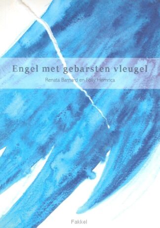 product afbeelding voor: Engel met gebarsten vleugel