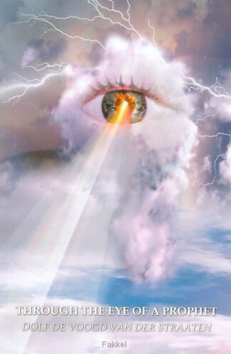 product afbeelding voor: Through the eye of a prophet