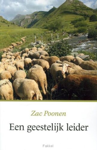 product afbeelding voor: Geestelijk leider