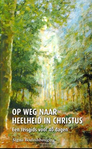 product afbeelding voor: Op weg naar heelheid in christus