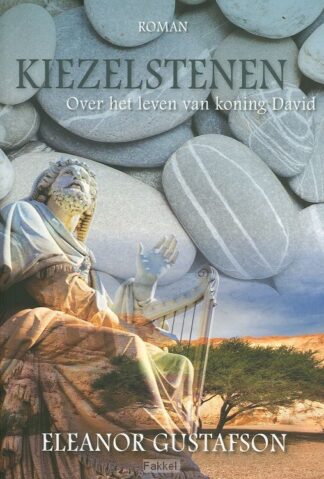 product afbeelding voor: Kiezelstenen