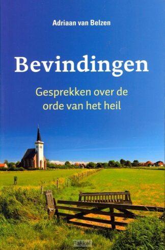 product afbeelding voor: Bevindingen