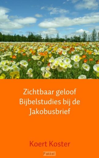product afbeelding voor: Zichtbaar geloof
