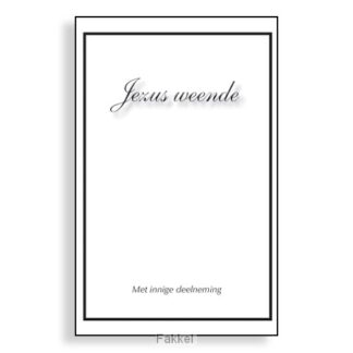 product afbeelding voor: Wenskaartenboekje blanco Jezus weende