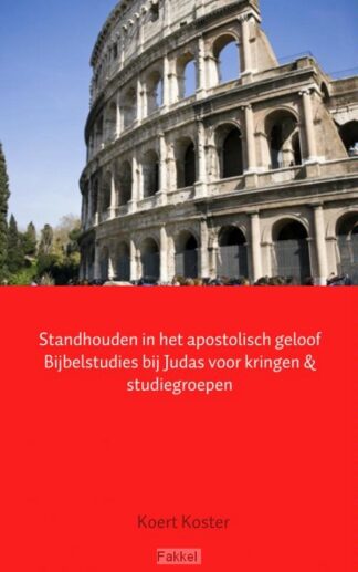 product afbeelding voor: Standhouden in het apostolisch geloof bi