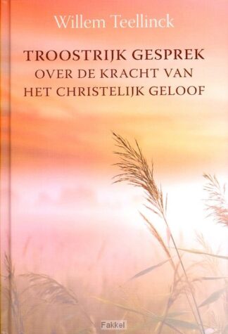 product afbeelding voor: Troostrijk gesprek