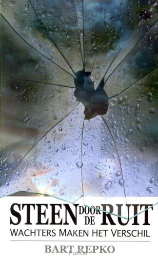 product afbeelding voor: Steen door de ruit