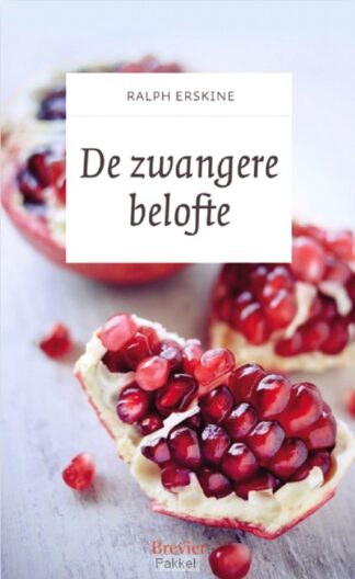 product afbeelding voor: Zwangere belofte