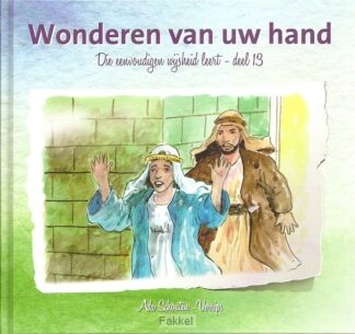 product afbeelding voor: Die eenvoudigen 13 wonderen van uw hand